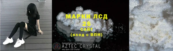 прущие грибы Богородицк