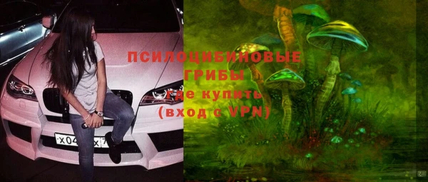 прущие грибы Богородицк