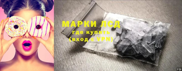 прущие грибы Богородицк