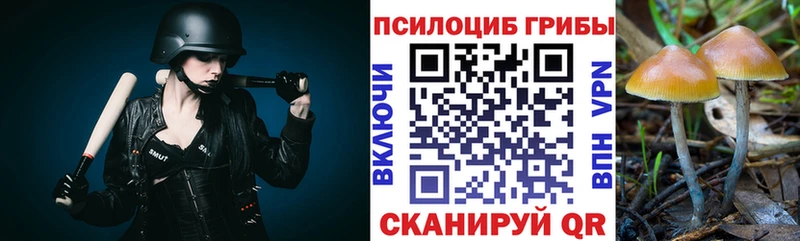 Псилоцибиновые грибы ЛСД  Купить  Байкальск 